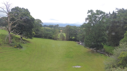 Hillside
