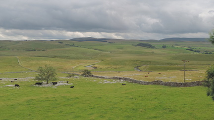 Fields