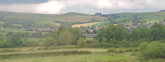 Hillside