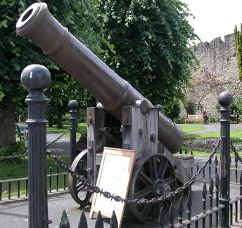 Cannon