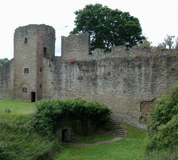 Ice house