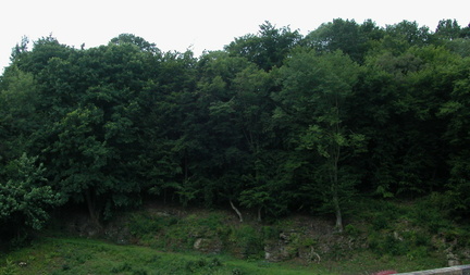 Riverbank