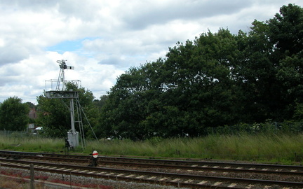 Signal