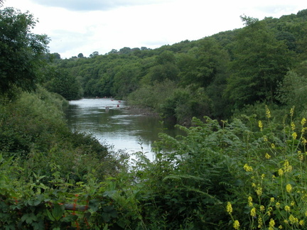 Canoes