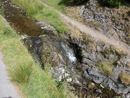 Stream