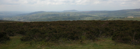 From the top