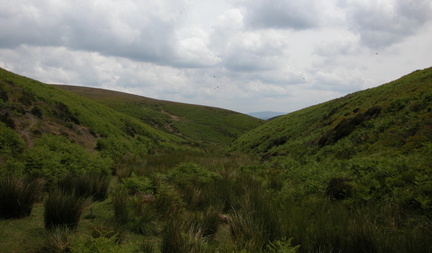 Valley