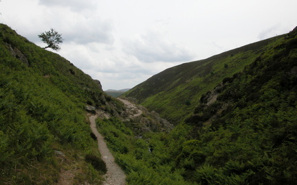 Valley