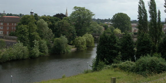 Bridge