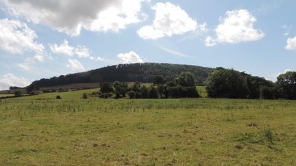 Hill