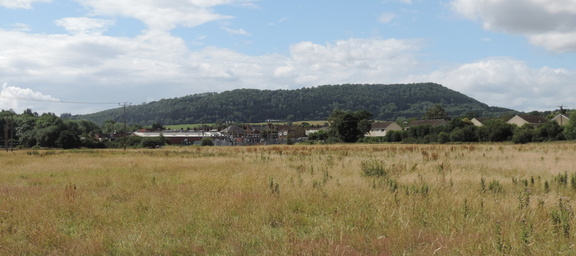 Hill