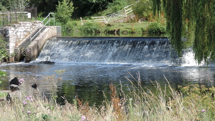 Weir