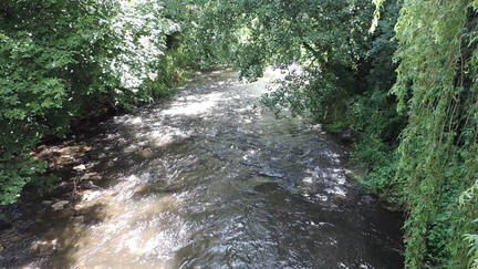 Rapids