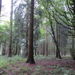 Norton Camp