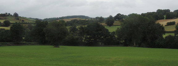 Landscape