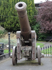 Cannon