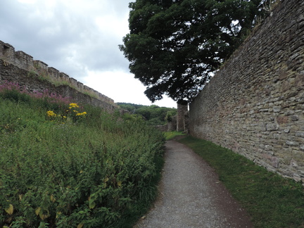 Castle wall