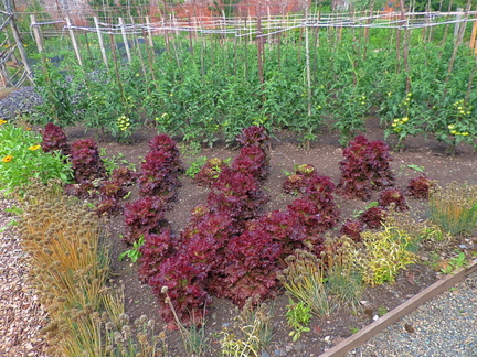 Flower beds