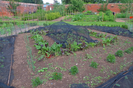 Walled garden