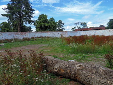 Curved garden