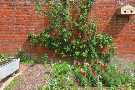 Flower beds