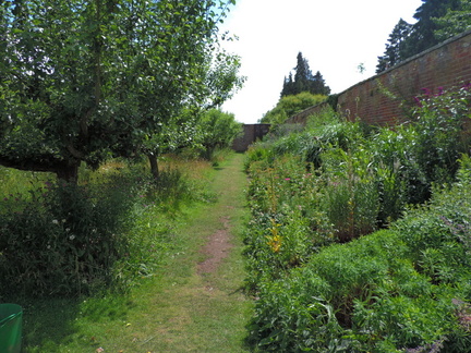 Path