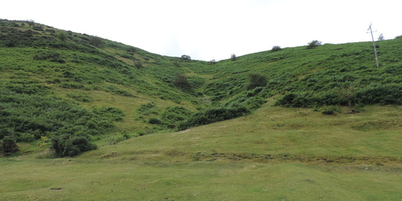 Hillside