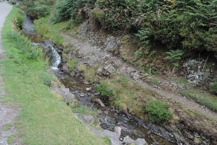 Stream