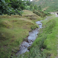 Stream