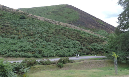 Hillside