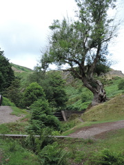 Up the valley