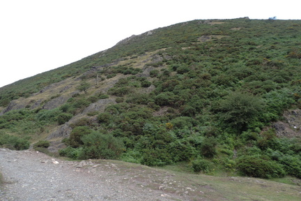 Hillside