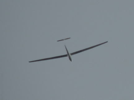 Glider