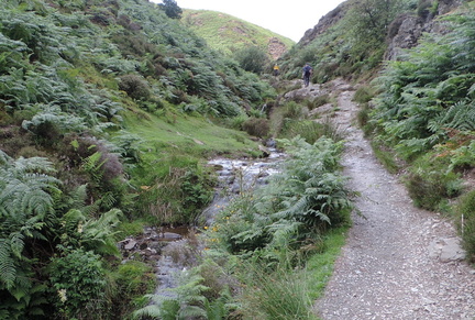 Up the valley