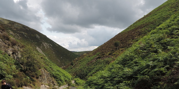 Down the valley
