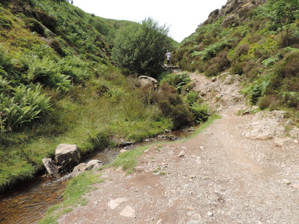 Up the valley
