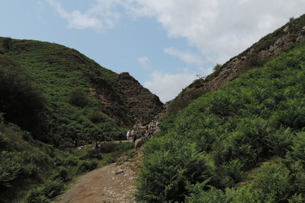 Up the valley
