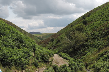 Down the valley