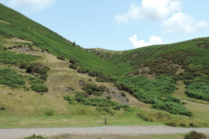 Hillside