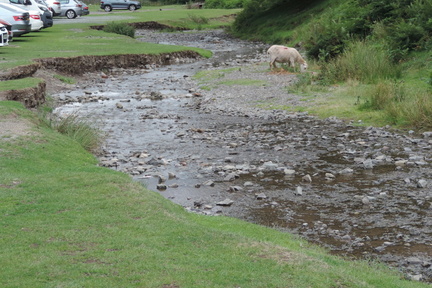 Stream