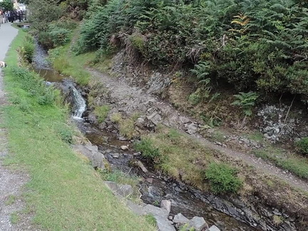 Stream