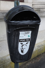 Poo tin