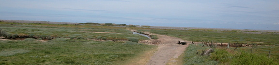 Marsh