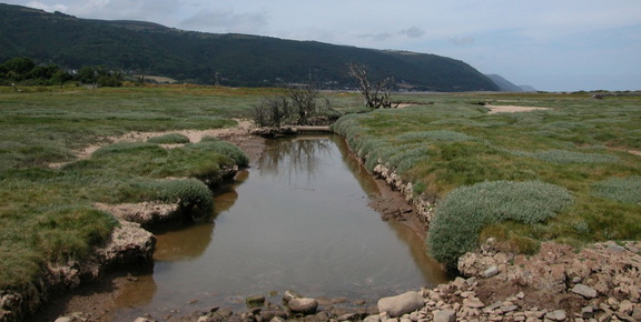 Stream