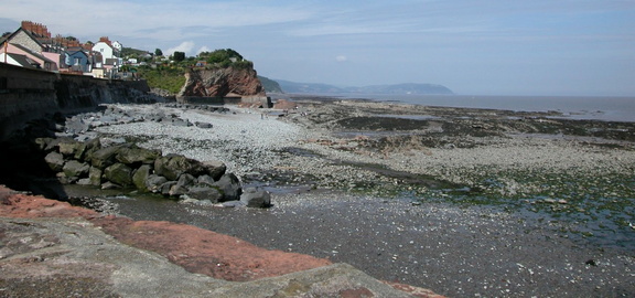 Along the beach