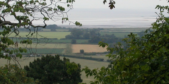 Sea through the trees