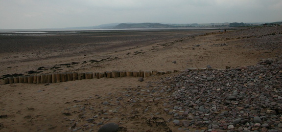 Along the beach
