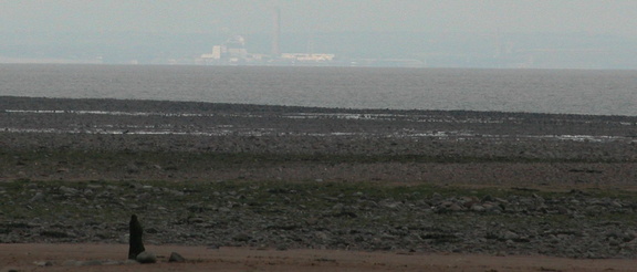 Stump and view across