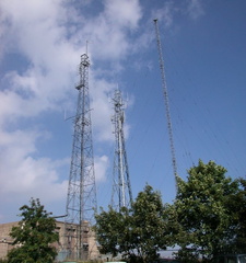 Masts