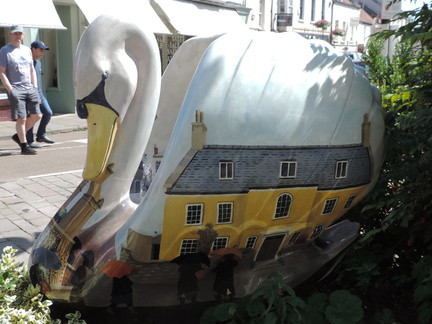 Swan